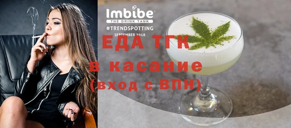 индика Балахна