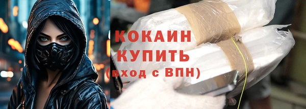 индика Балахна