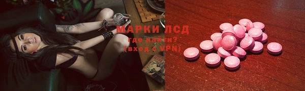 индика Балахна