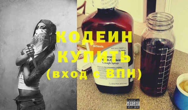 индика Балахна