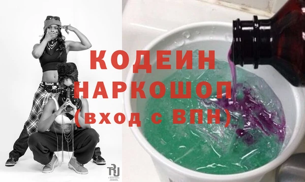 индика Балахна