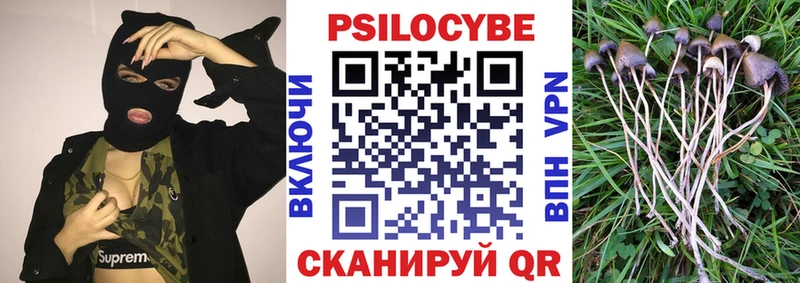 закладки  Узловая  Галлюциногенные грибы мухоморы 